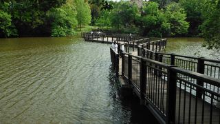 房総のむらに隣接する公園