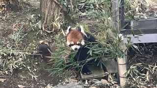 広くておもしろい