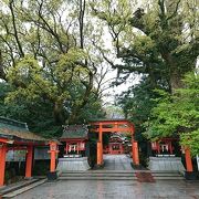 雨交じりの天気に朱が映えていました