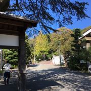 のんびりした動物園もあります