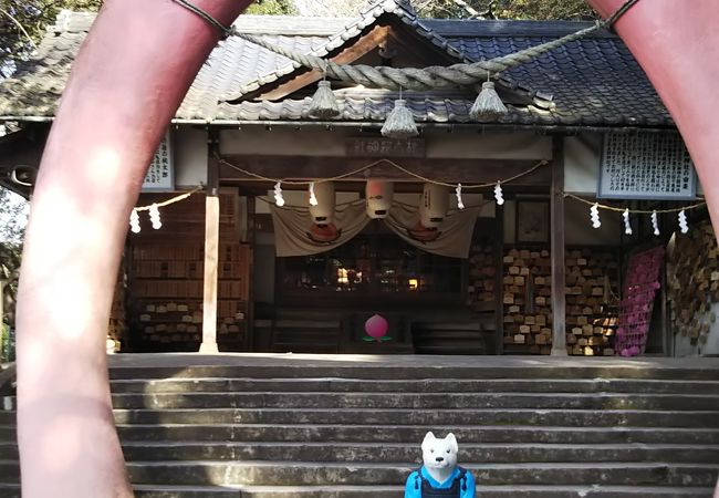 桃太郎神社 クチコミ アクセス 営業時間 犬山 フォートラベル 桃太郎神社 クチコミ アクセス 営業時間 犬山 フォートラベル