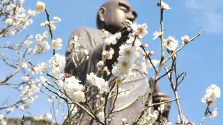 日蓮宗の立派なお寺