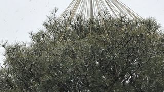 ようやく雪が降り