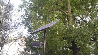 日曜日の十思公園