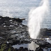 間欠泉のような感じで海水が噴き出します