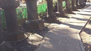 石の灯籠がたくさんみられます