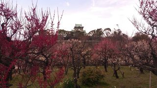 種類が多いです