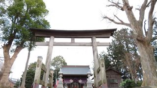 境内にある横浜市の名木が立派