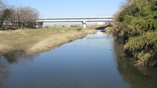 川の水は澄んでいましたが・・・