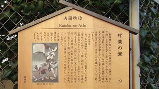 片方に向く葦の群生があった