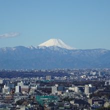 富士山がよく見えました