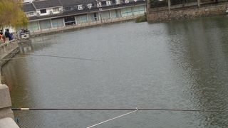 お魚釣りしてました。