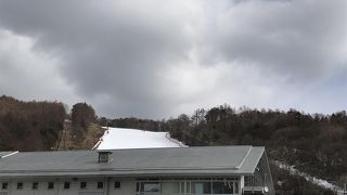 今年も来ました