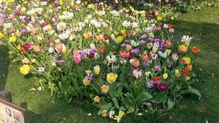 球根ミックス花壇