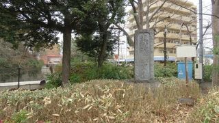 江古田公園内に