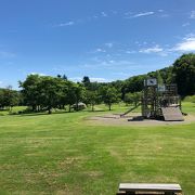 アスレチックがちょっとあるだけの広い公園とキャンプ場