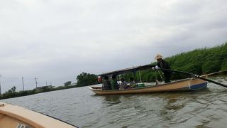 手こぎ舟の水郷めぐりで癒しのひととき