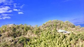 台風19号の影響あり