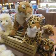 2025年最新】シンガポール動物園の人気アイテム - メルカリ