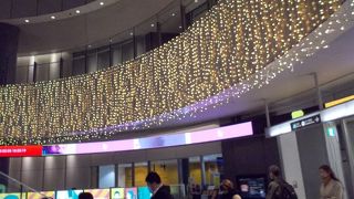 11階しか行きません