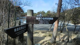 立ち入り規制エリアもある、生きている場所