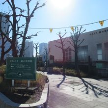 勝鬨橋南西詰手前の歩道からの様子(石碑は正面の中央辺り)