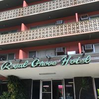 ピンクなので見つけやすい