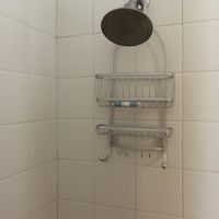 固定シャワーのみ