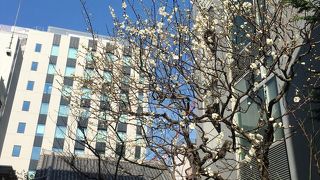 建物に囲まれる