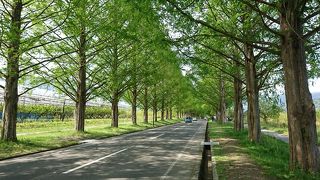 新緑が美しく気持ちが良かった