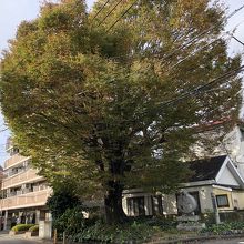 一の鳥居があった場所？