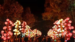 ランタンフェスティバル2020