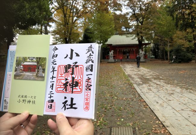 紅葉が素晴らしい