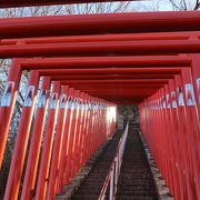 千本鳥居があってびっくりでした