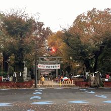 ケヤキ並木の終点（大國魂神社入口）