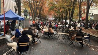 ケヤキ並木として唯一の国指定天然記念物