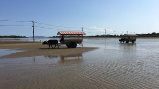 水牛乗って異空間体験