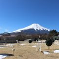 庭園からの景色を見たいと訪問しました