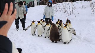 期待に違わぬ充実ぶり