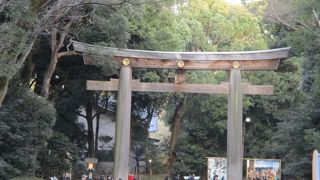 厳かな気持ちで大鳥居をくぐりました。