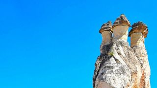 ここは必見です！