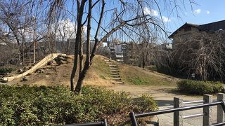 先斗町のしだれ桜を見に行きましょう