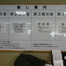 今日は何が見れるかな？