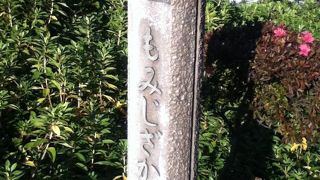 紅葉橋交差点から南西へ上る坂