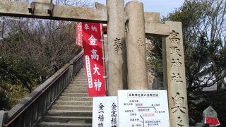 毎日登山