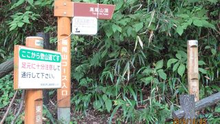 気楽に登れる高尾山