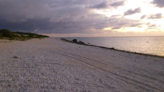 海岸にたくさんのサンゴがあった海岸でした。