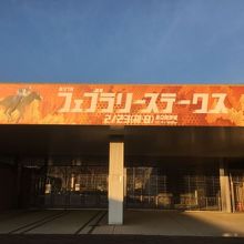 来週はフェブラリーステークス