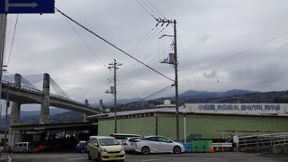 相模湾の海の幸を堪能