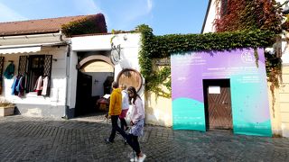 休日に行ったとき，見学はできたが，案内やティスティングはできなかった